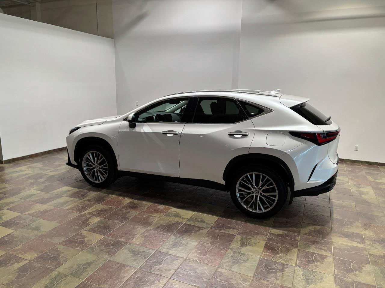 2024 Lexus NX 350h  Photo