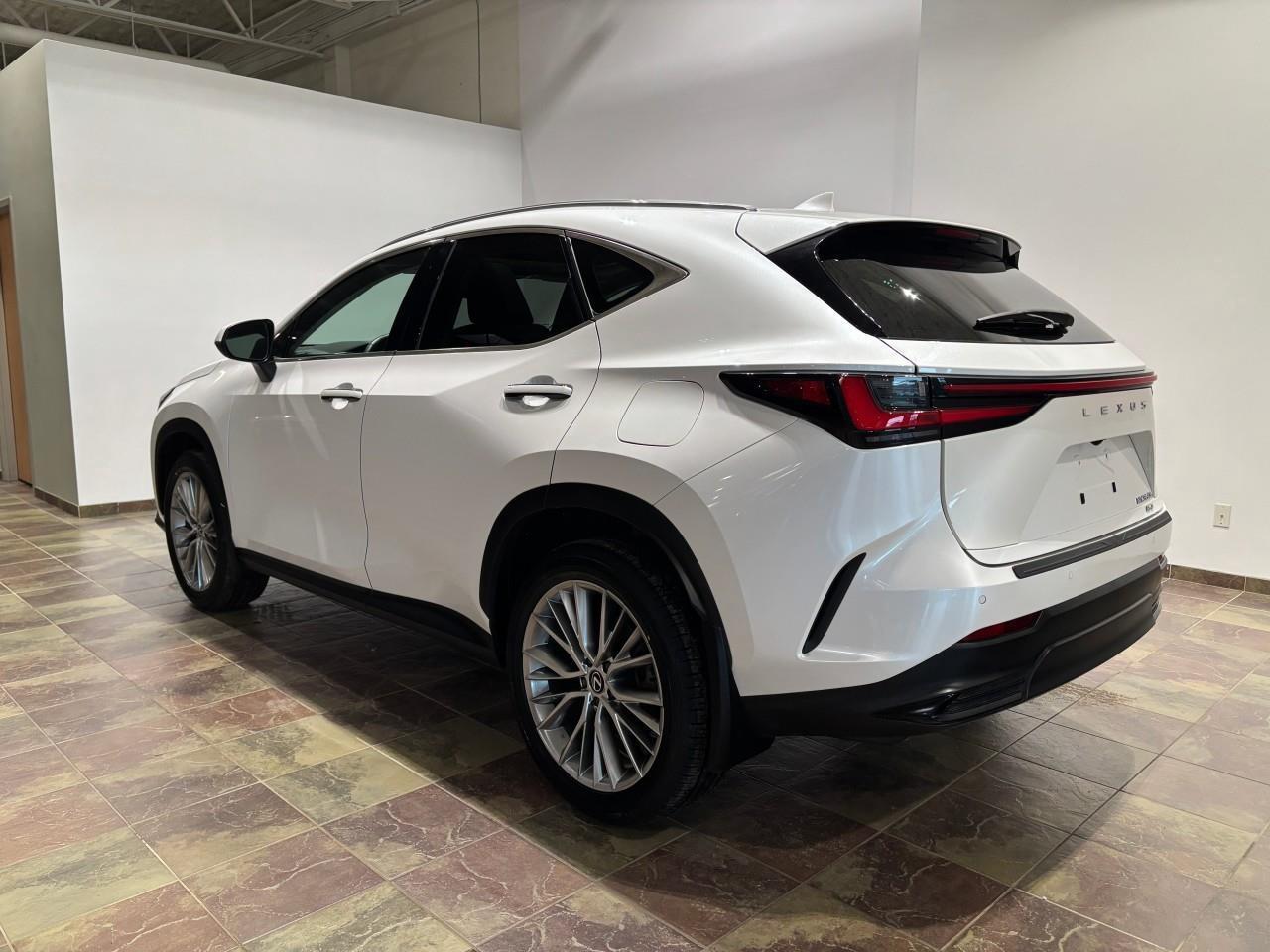 2024 Lexus NX 350h  Photo2