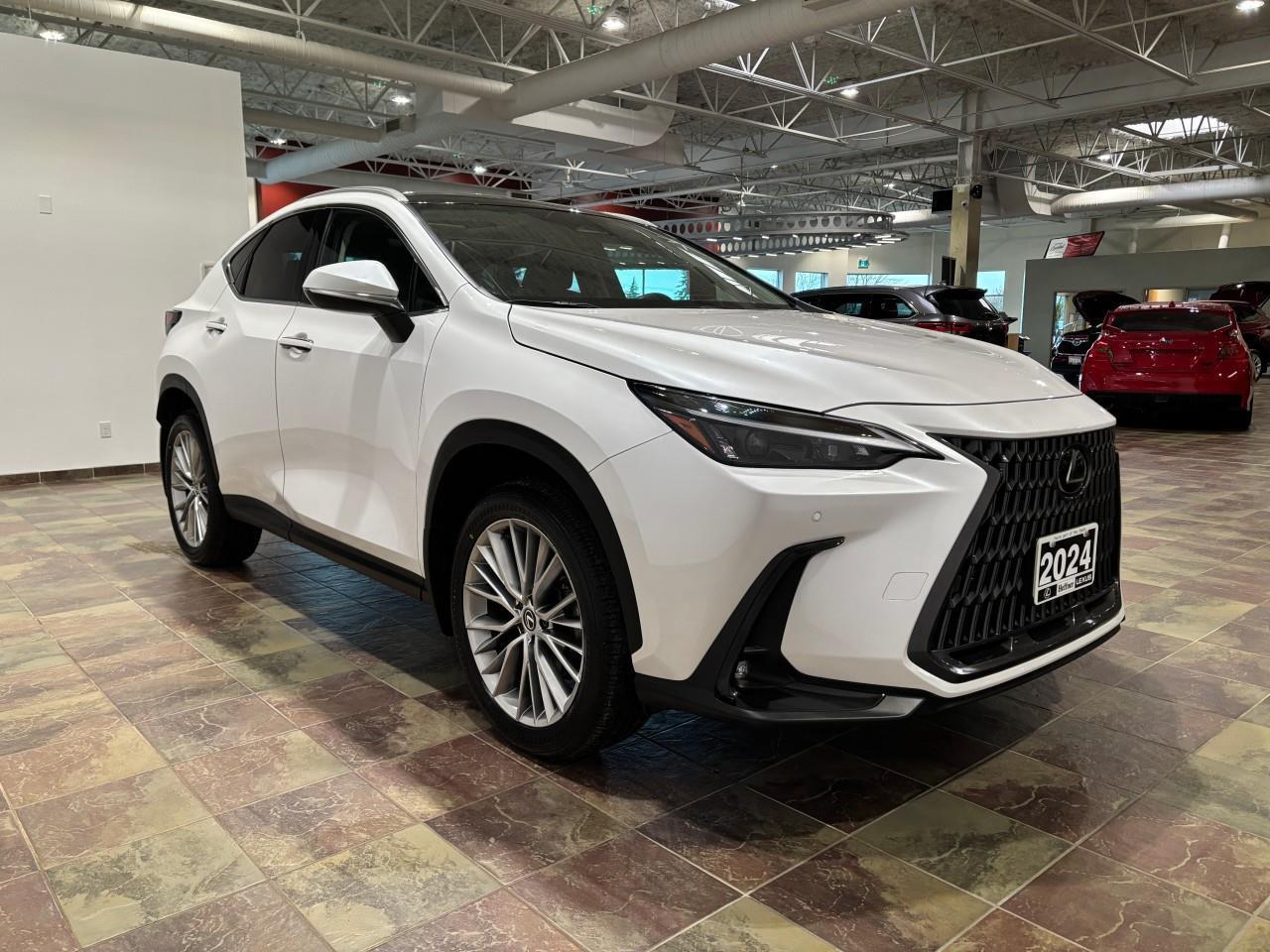 2024 Lexus NX 350h  Photo