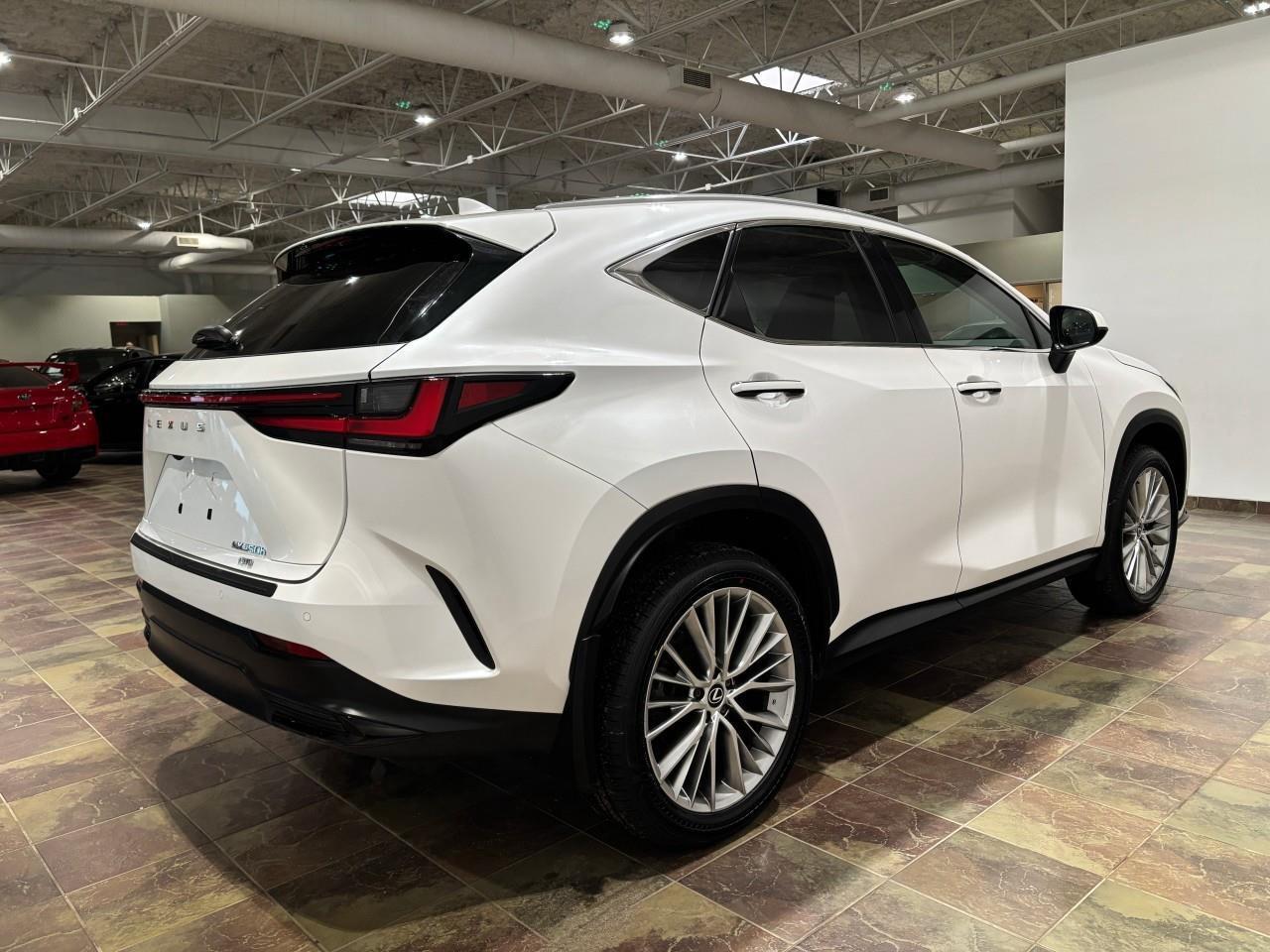 2024 Lexus NX 350h  Photo