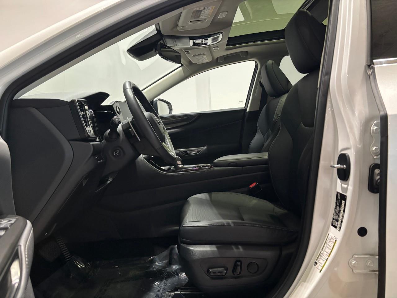 2024 Lexus NX 350h  Photo