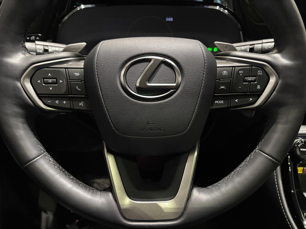 2024 Lexus NX 350h  Photo