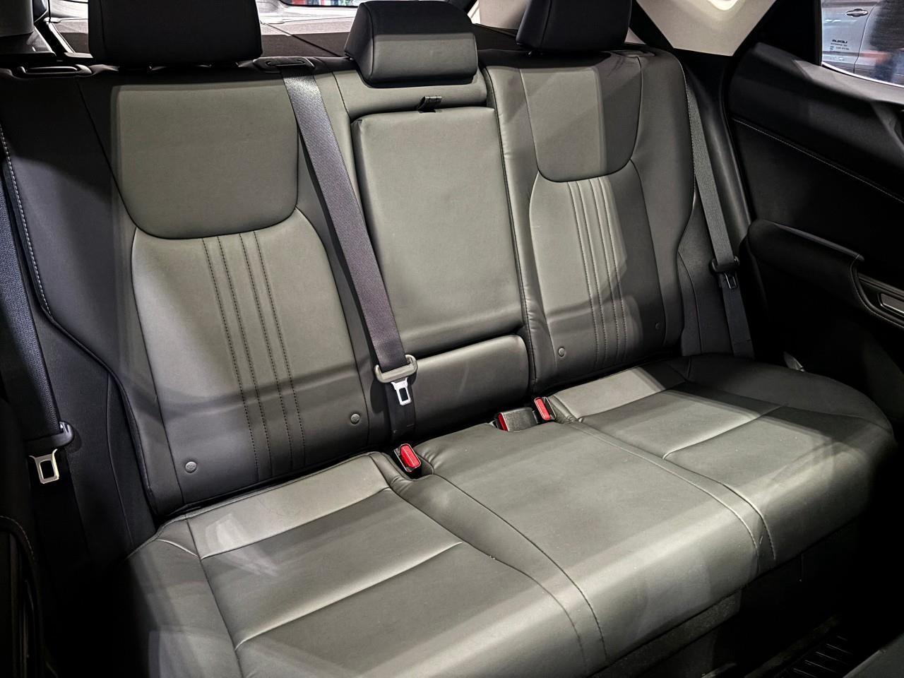 2024 Lexus NX 350h  Photo