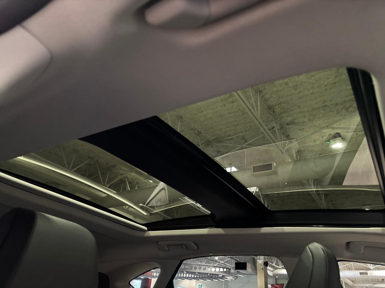 2024 Lexus NX 350h  Photo