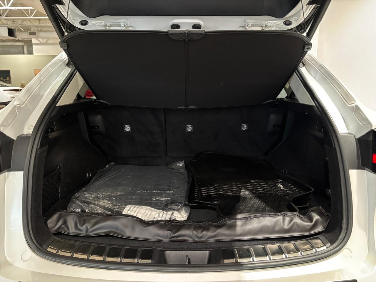 2024 Lexus NX 350h  Photo