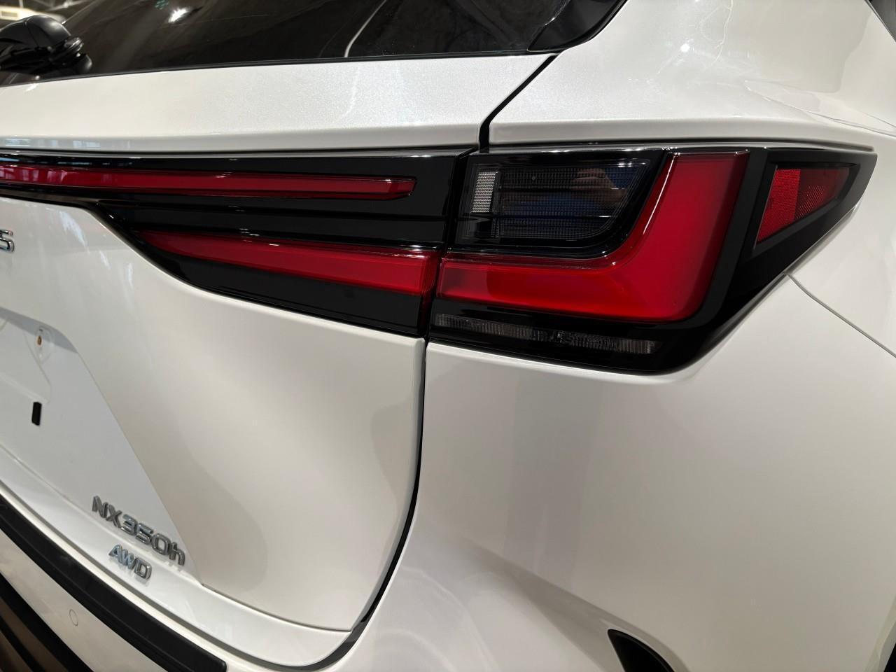 2024 Lexus NX 350h  Photo