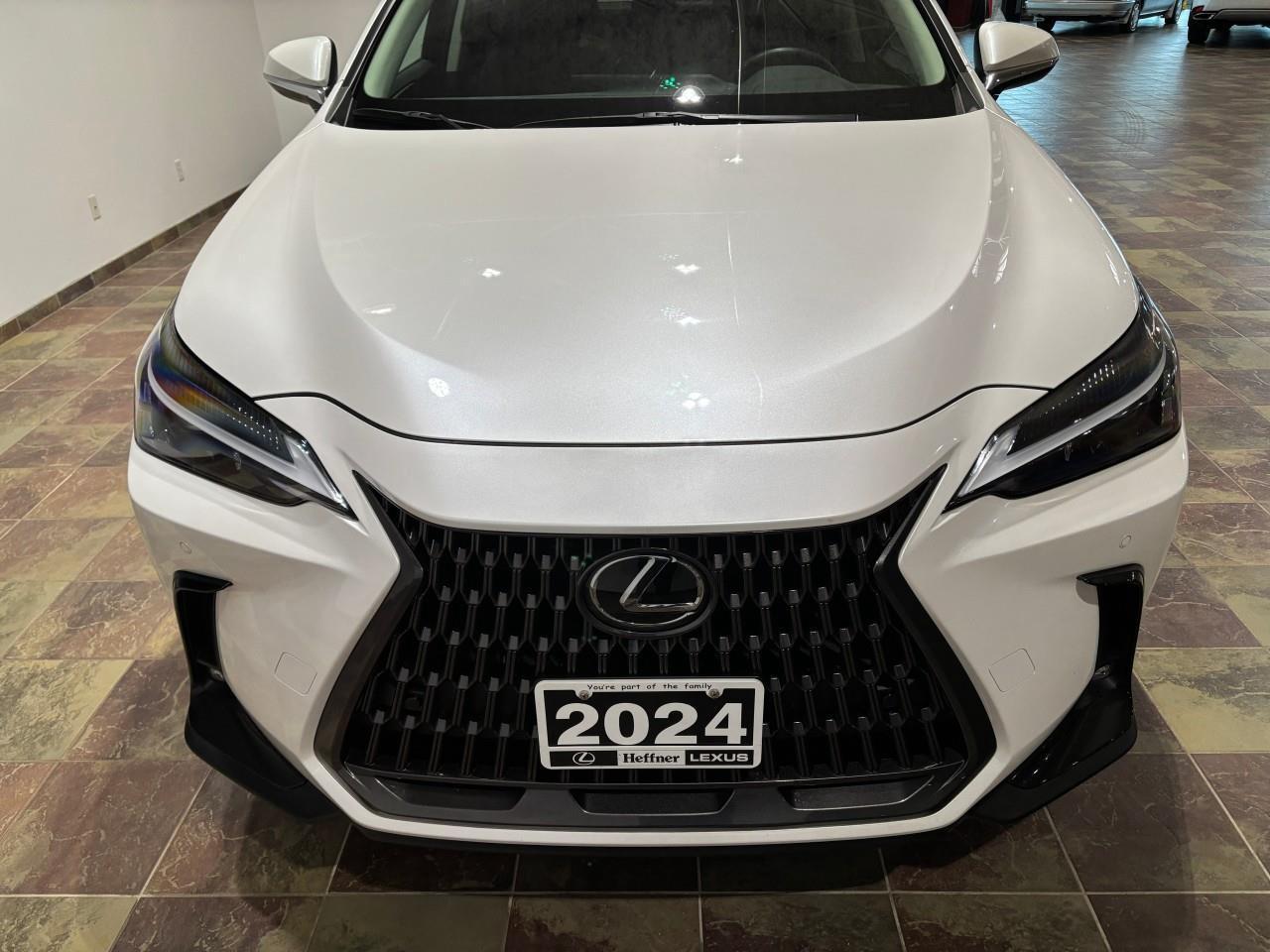 2024 Lexus NX 350h  Photo
