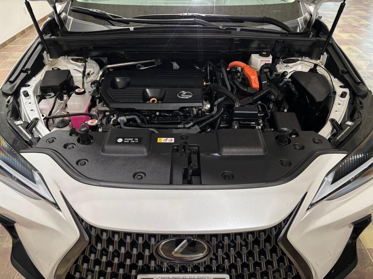 2024 Lexus NX 350h  Photo