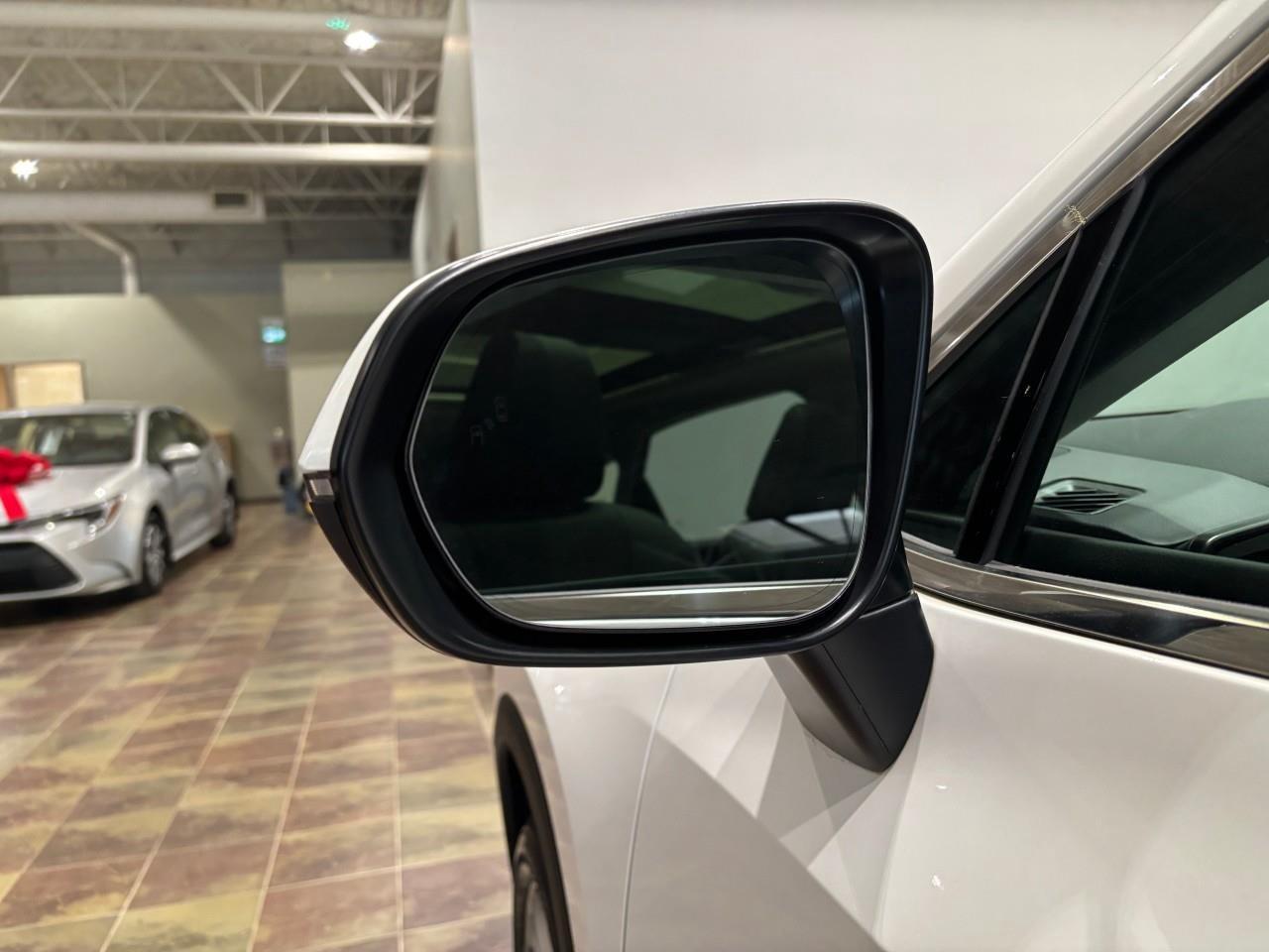 2024 Lexus NX 350h  Photo