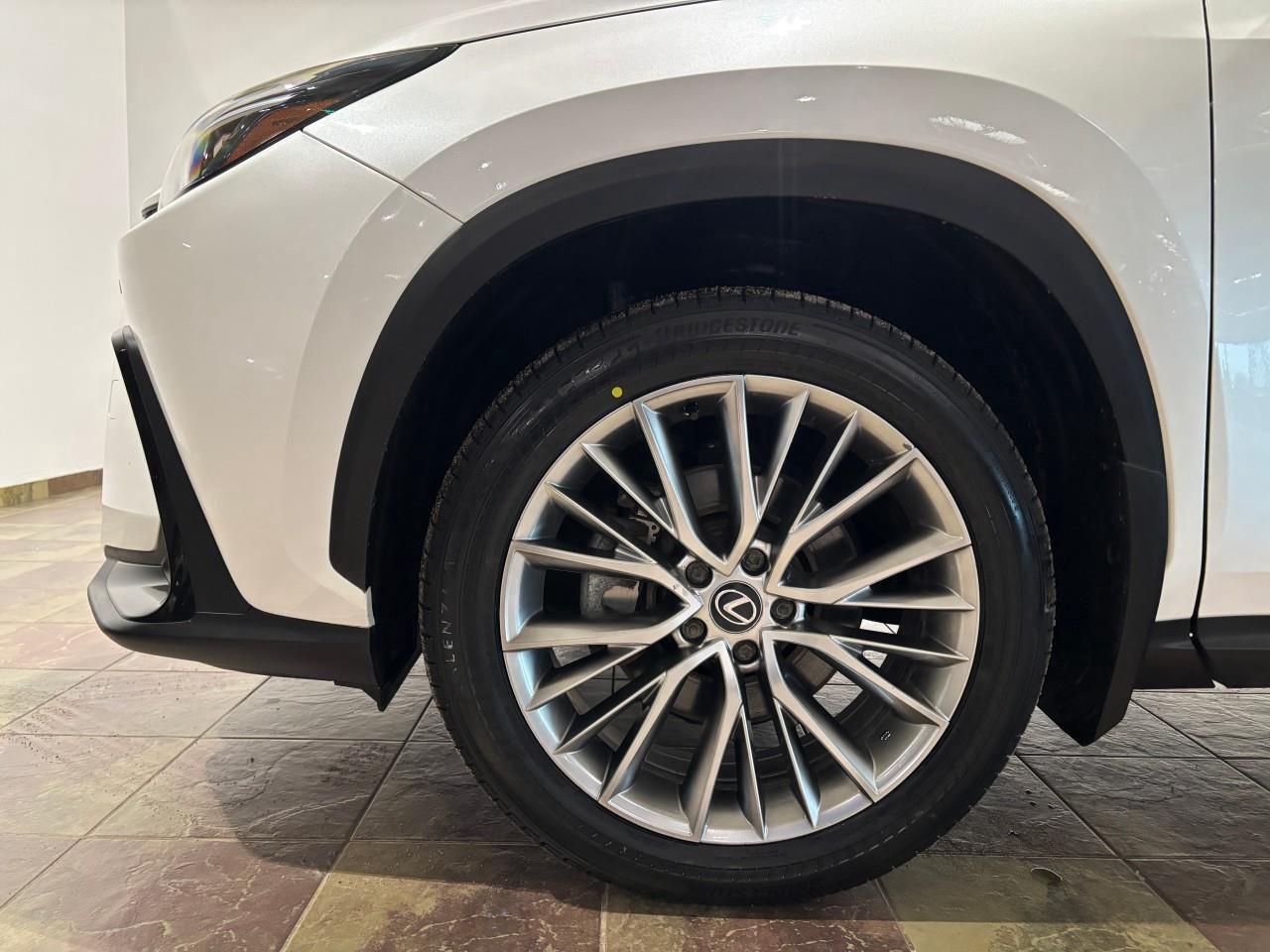 2024 Lexus NX 350h  Photo