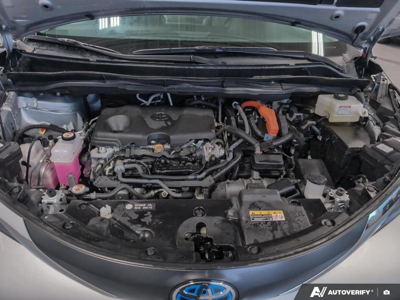 2025 Toyota Sienna LE 8-Passenger 4dr Front-Wheel Drive Passenger Van Photo