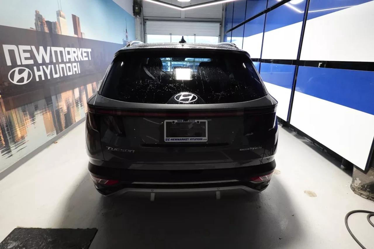 2024 Hyundai Tucson Hybrid LUXURY HYBRID   HEATED SEATS   HEATED WHEEL   APPL Photo