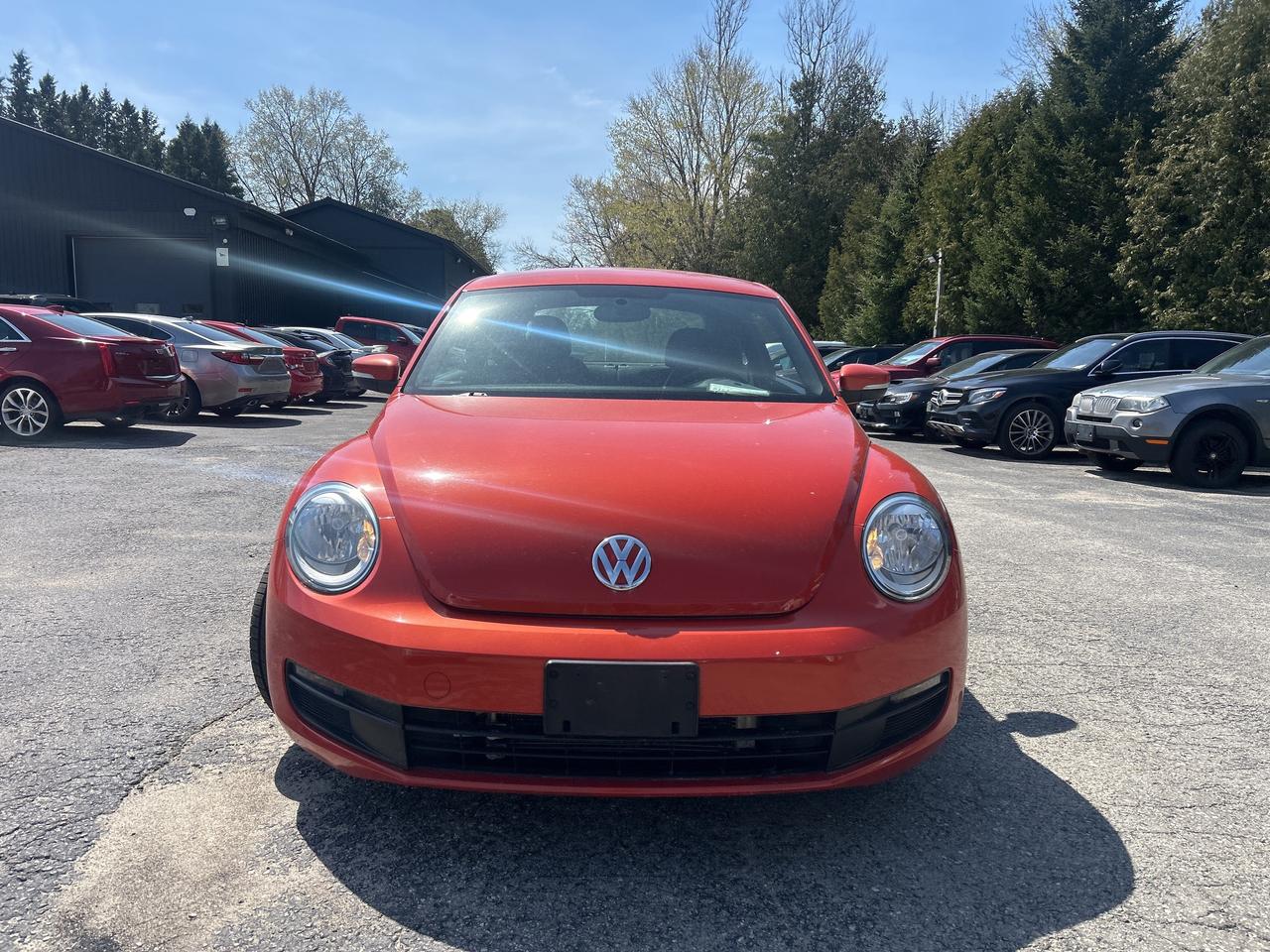 2016 Volkswagen Beetle Coupe Trendline Heated Seats, Back Up Cam Photo