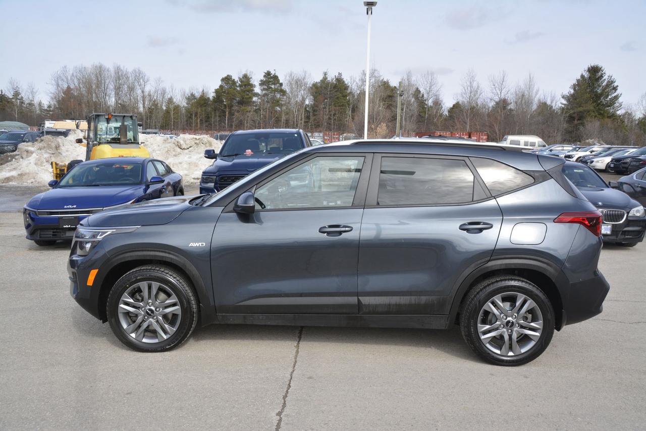 2022 Kia Seltos  Photo