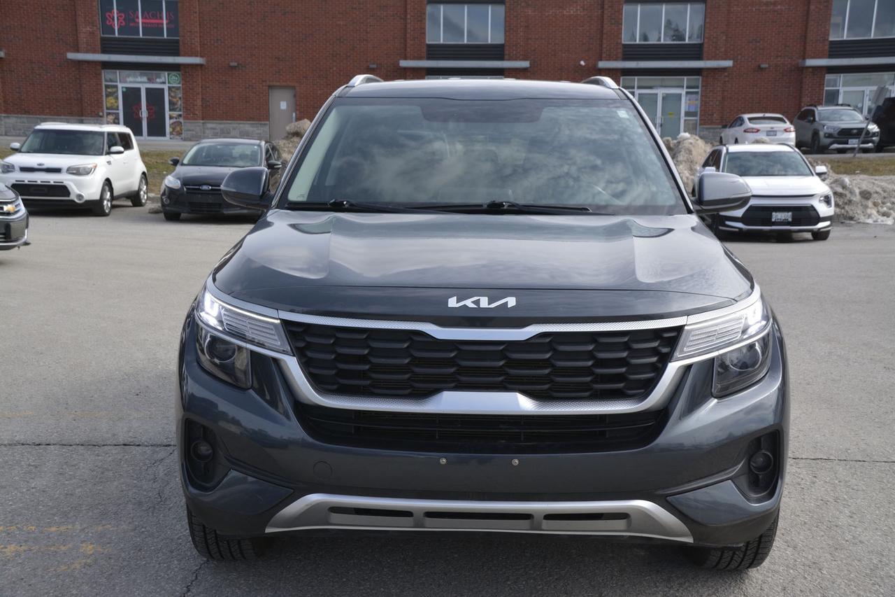 2022 Kia Seltos  Photo