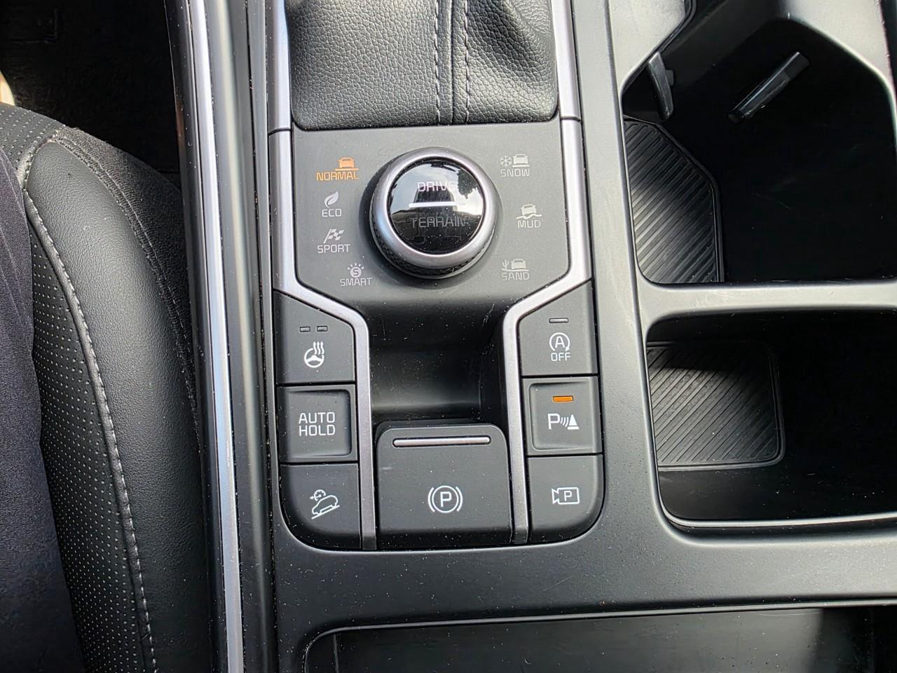 2025 Kia Sorento 2.5T EX 4dr All-Wheel Drive Photo