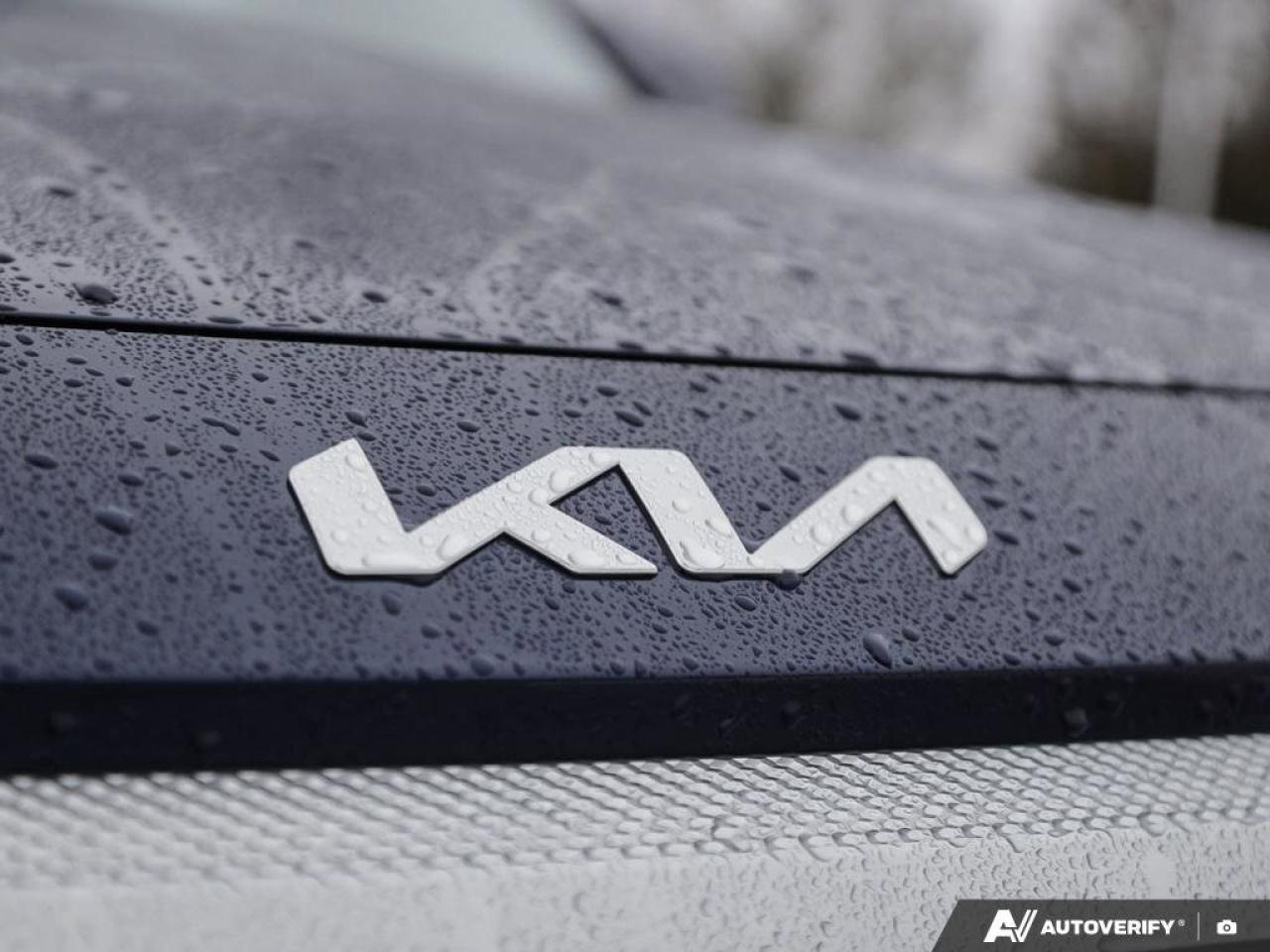 2024 Kia Seltos EX   AWD   Leather   Sunroof   Apple CarPlay   Hea Photo