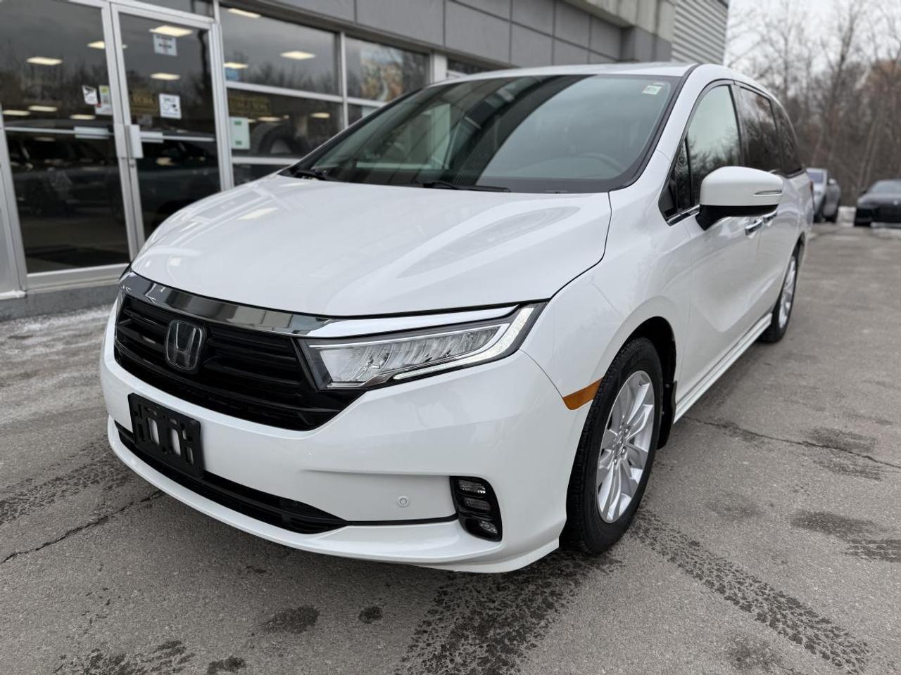 2023 Honda Odyssey Touring Auto Photo0