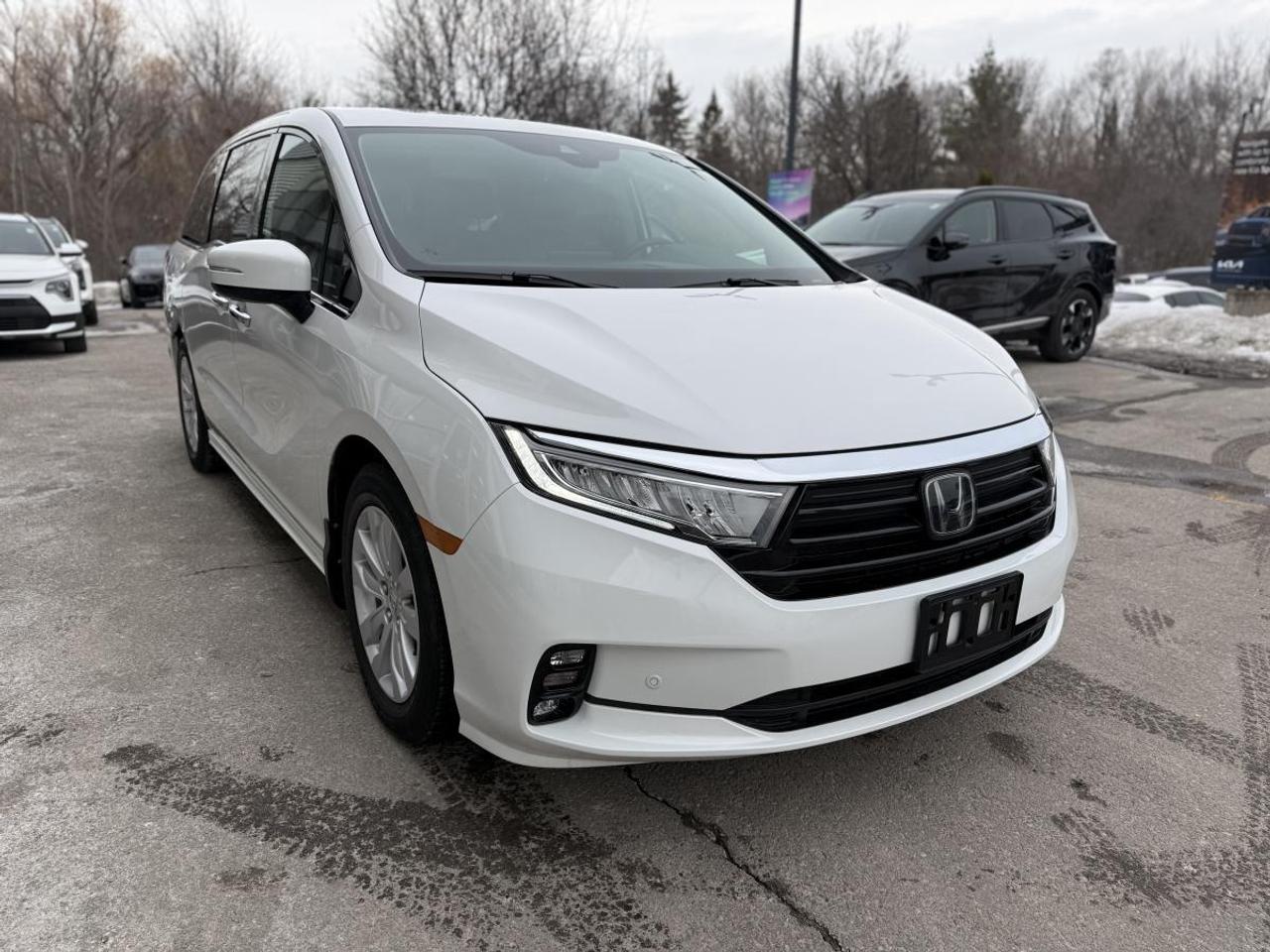 2023 Honda Odyssey Touring Auto Photo