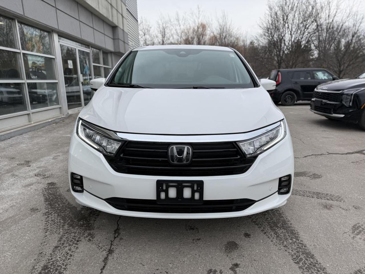 2023 Honda Odyssey Touring Auto Photo