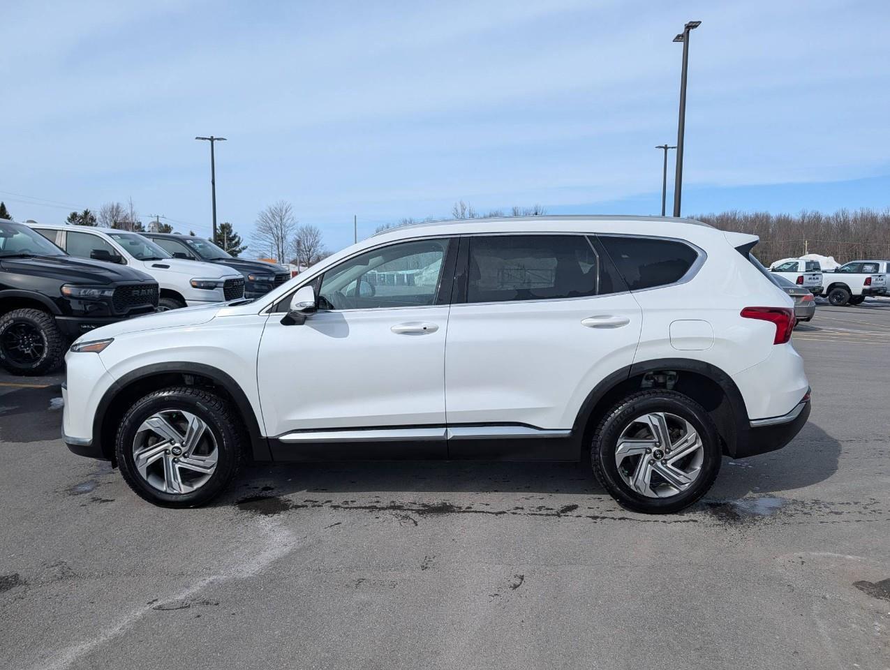 2022 Hyundai Santa Fe Preferred Photo