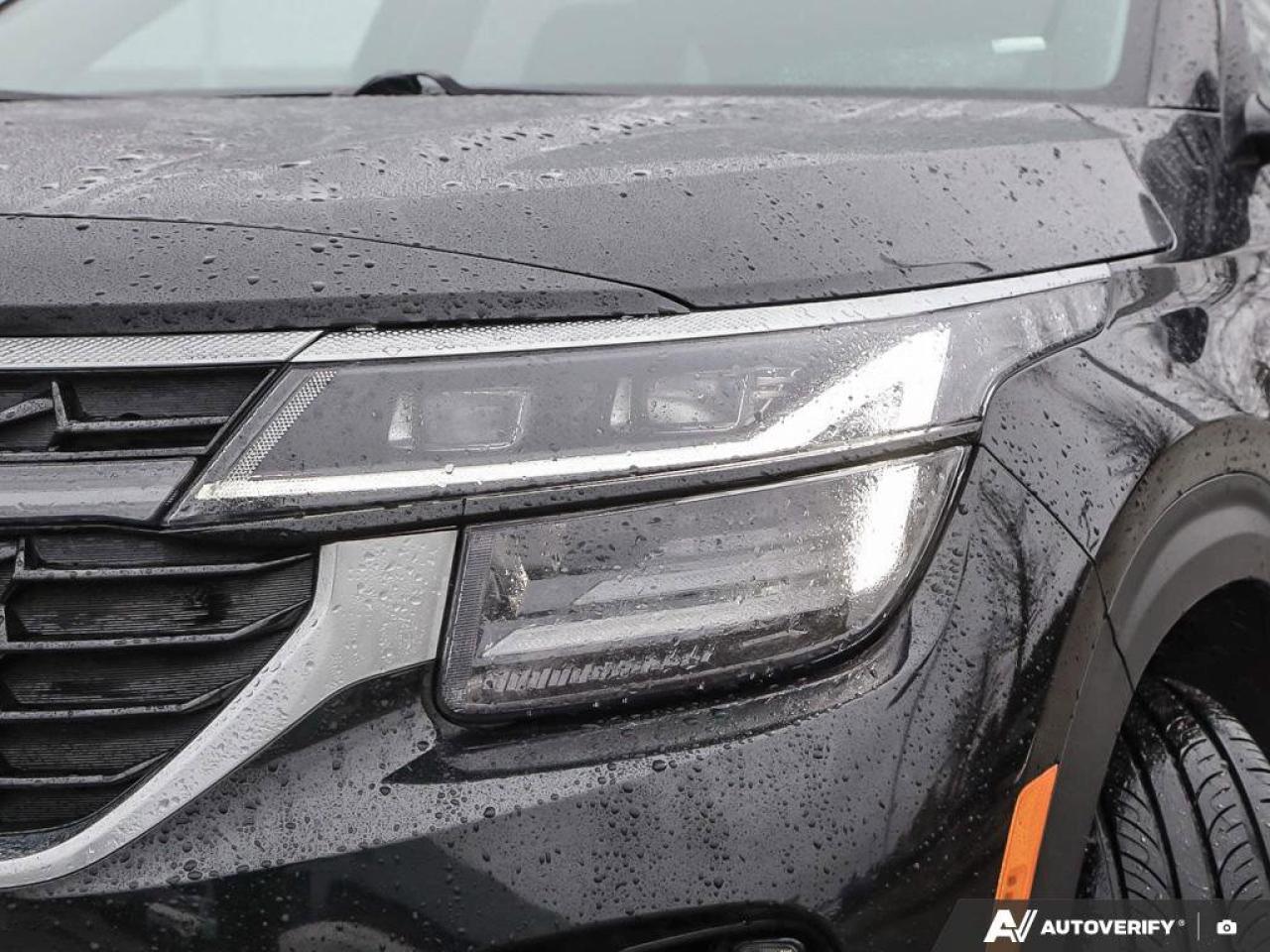 2024 Kia Seltos EX Photo