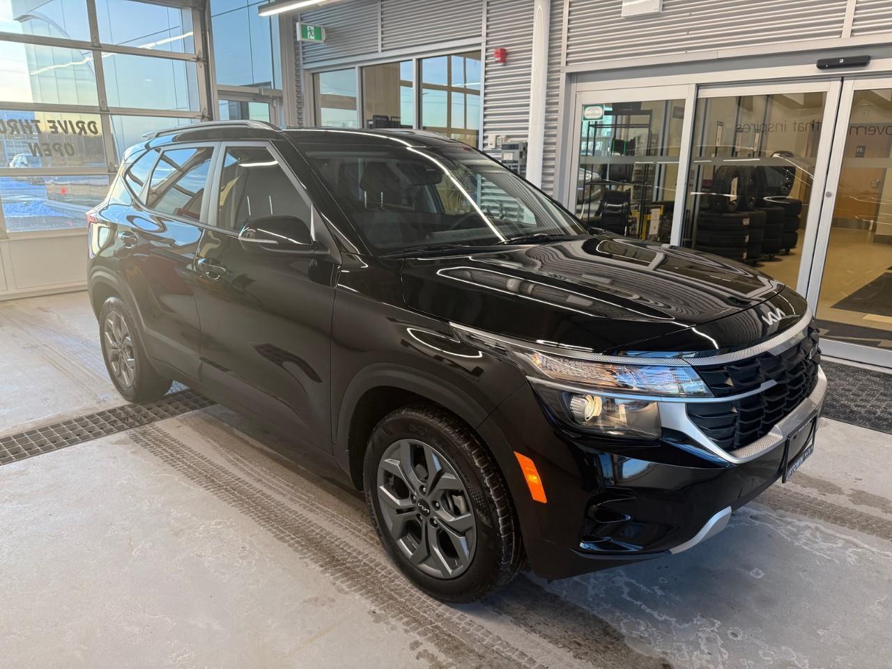 2026 Kia Seltos LX 4dr Front-Wheel Drive Photo