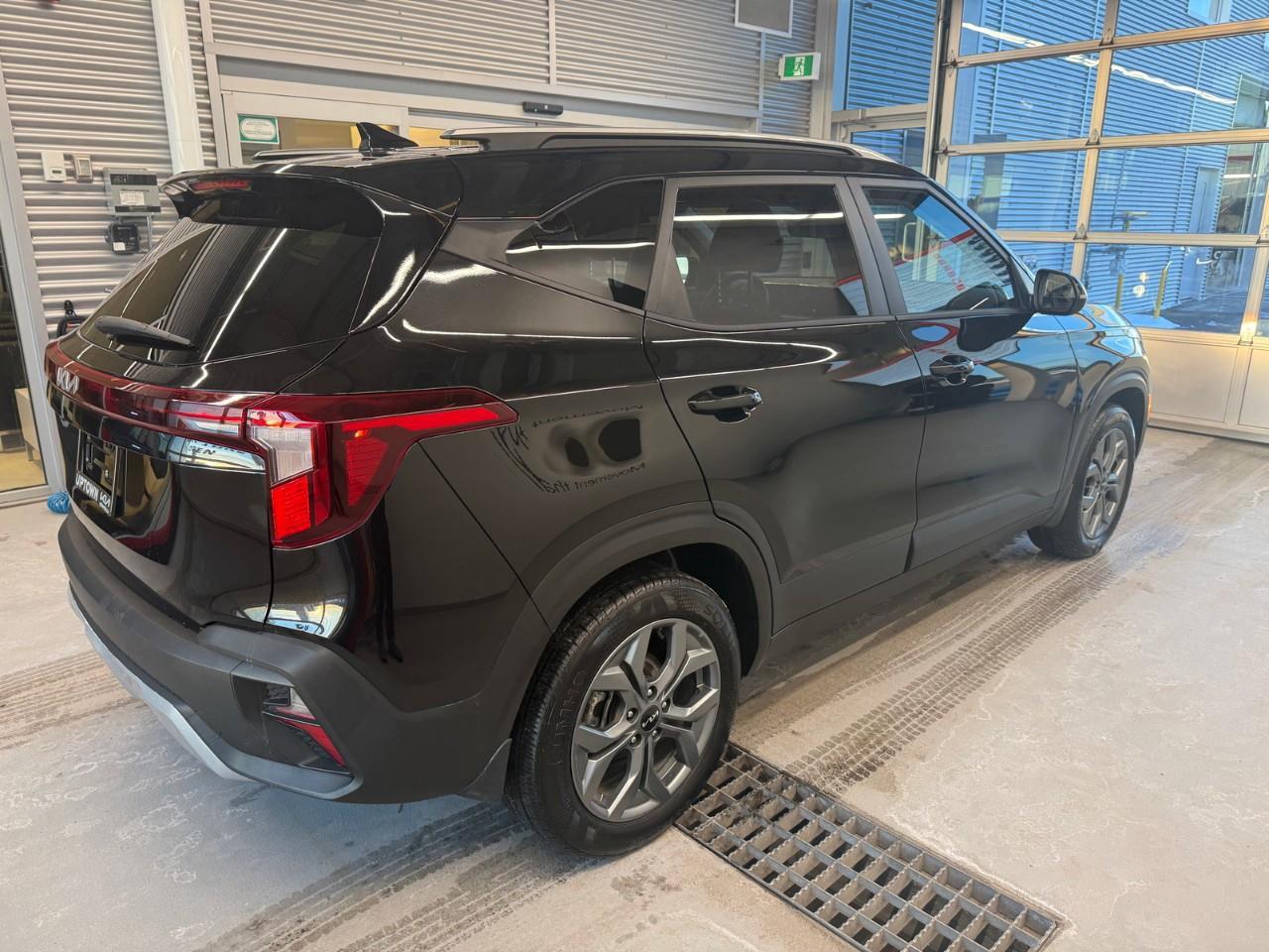 2026 Kia Seltos LX 4dr Front-Wheel Drive Photo