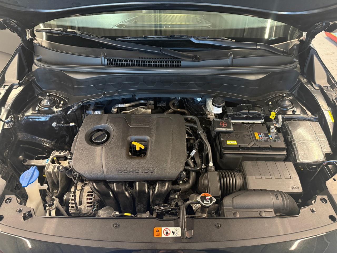 2026 Kia Seltos LX 4dr Front-Wheel Drive Photo