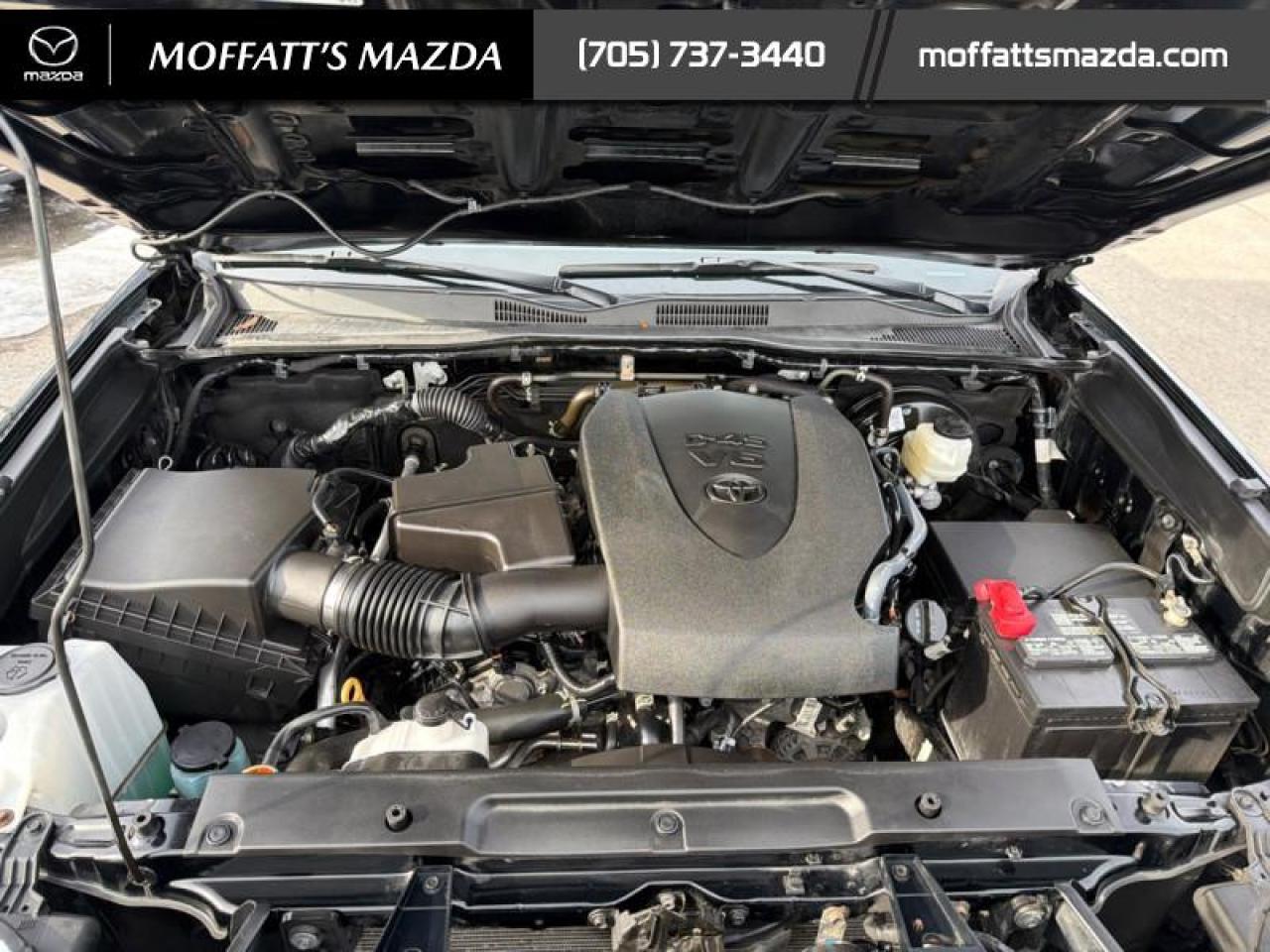 2023 Toyota Tacoma TRD Sport Premium Package Photo