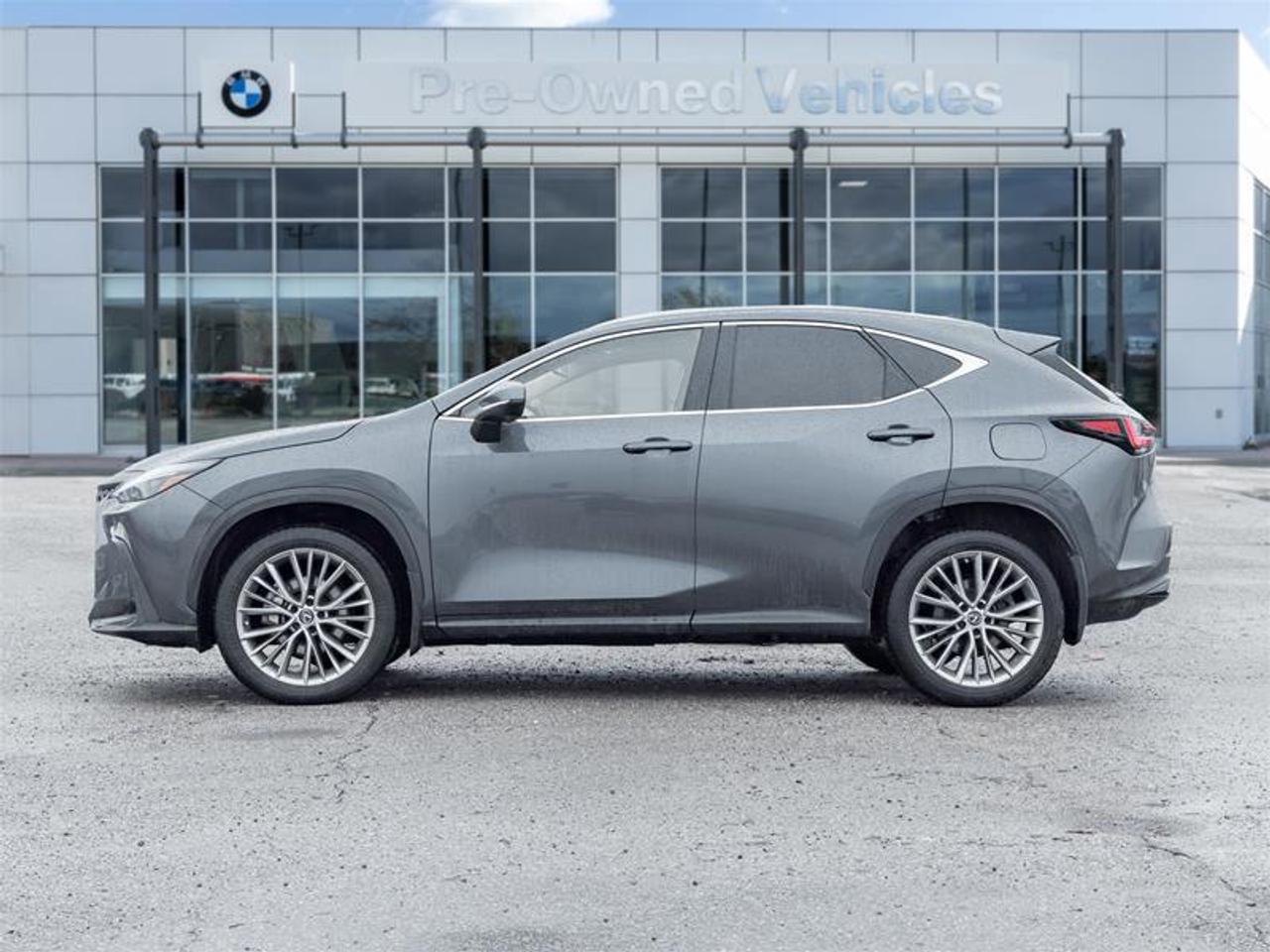 2023 Lexus NX 350h Base 4dr All-Wheel Drive Photo3