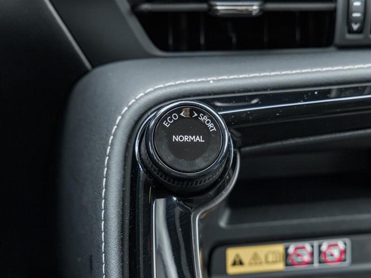 2023 Lexus NX 350h Base 4dr All-Wheel Drive Photo