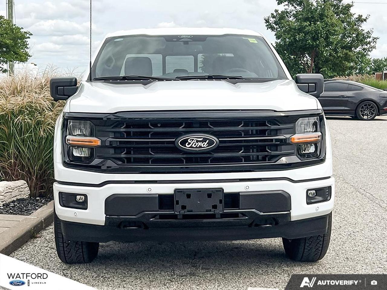 2026 Ford F-150 XLT Photo5