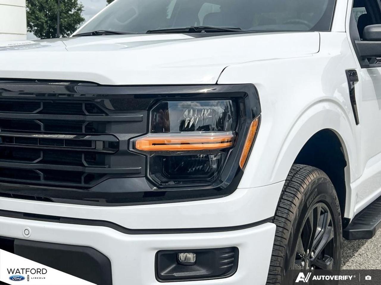 2026 Ford F-150 XLT Photo