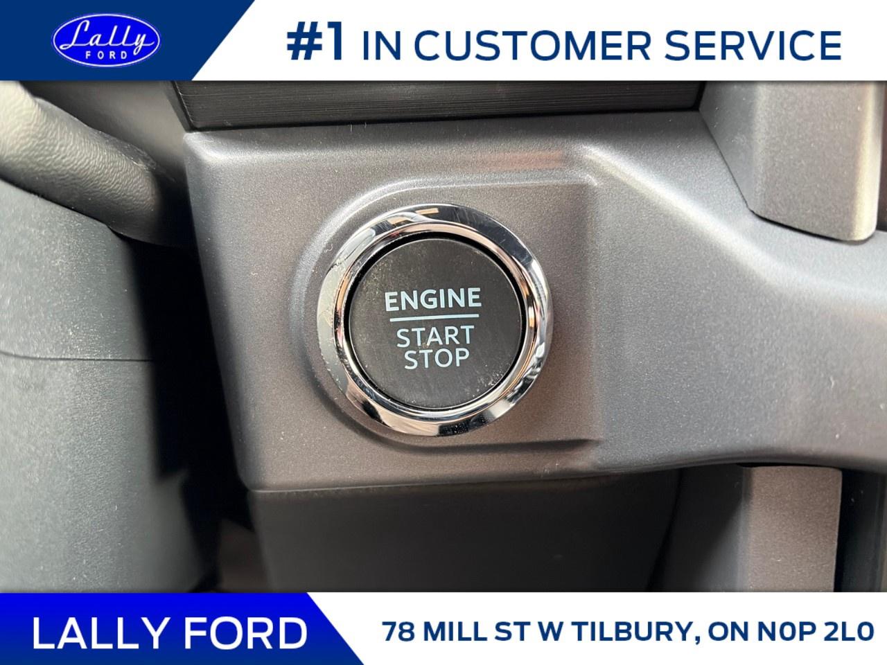 2026 Ford F-150 XLT 4WD SuperCrew 5.5' Box Photo