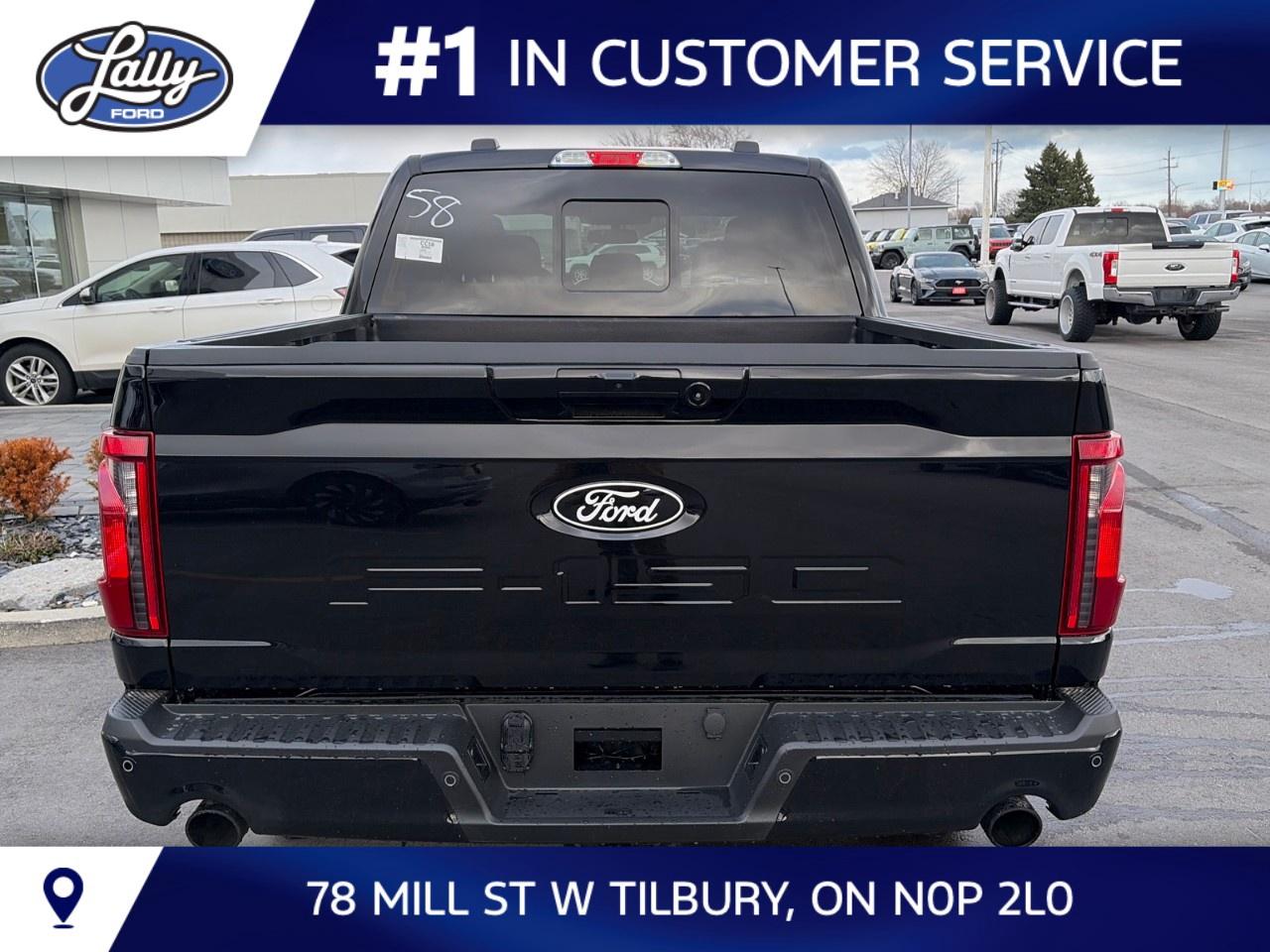 2026 Ford F-150 XLT 4WD SuperCrew 5.5' Box Photo