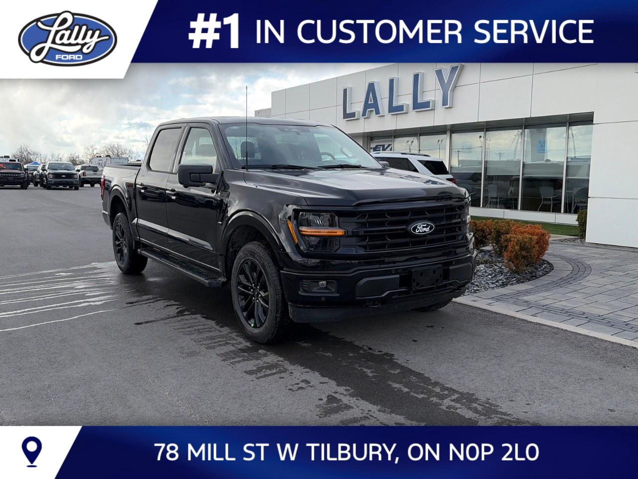 2026 Ford F-150 XLT 4WD SuperCrew 5.5' Box Photo0