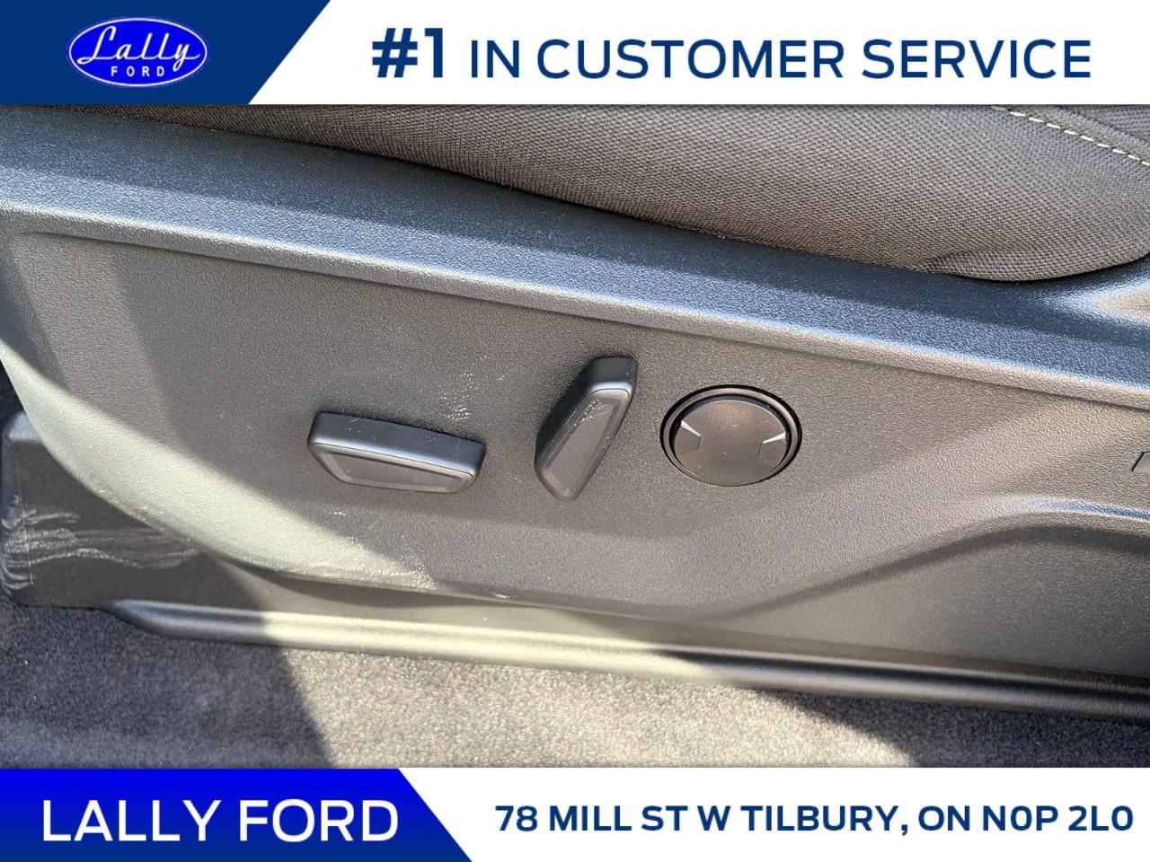 2026 Ford F-150 XLT 4WD SuperCrew 5.5' Box Photo