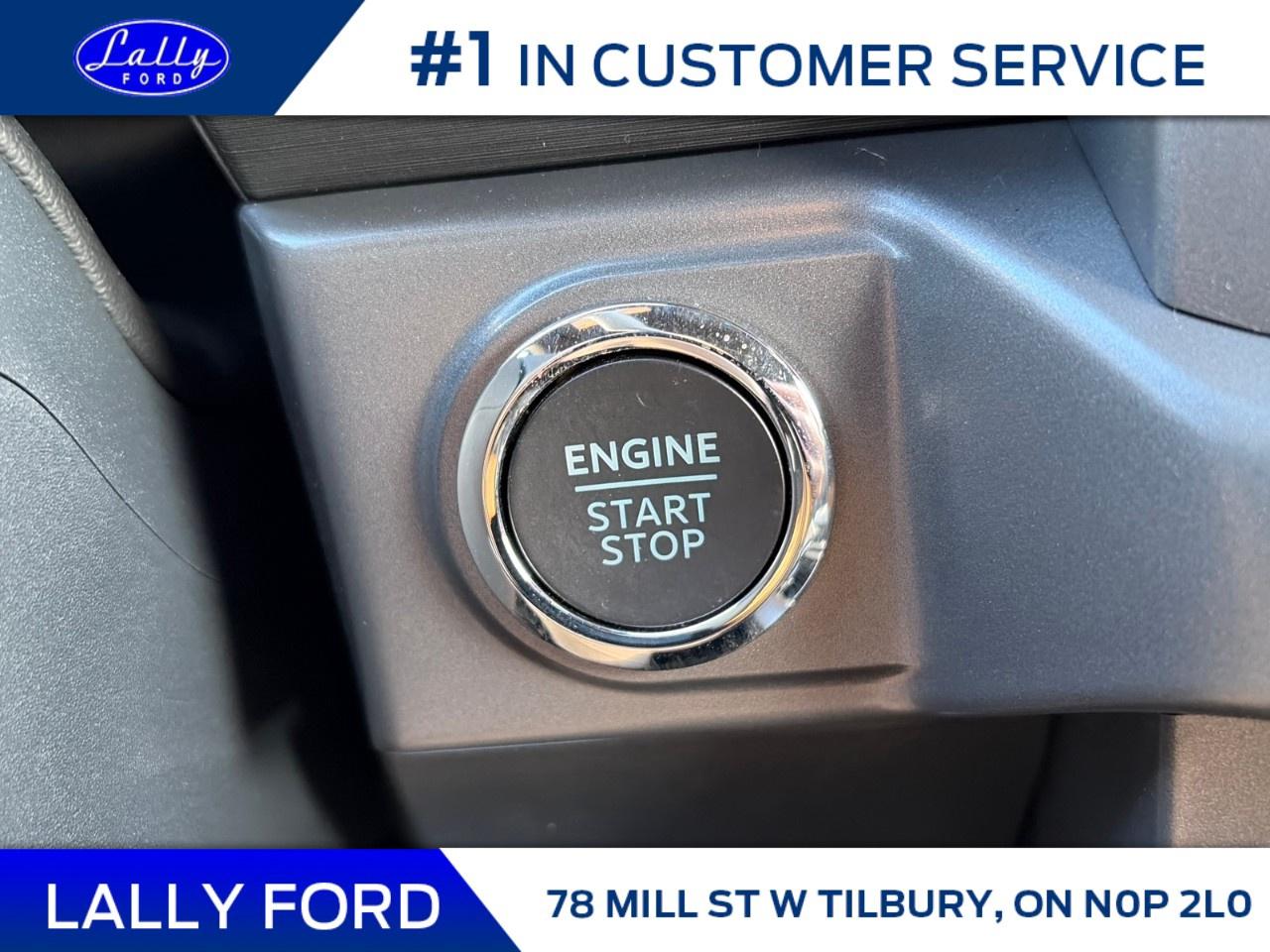 2026 Ford F-150 XLT 4WD SuperCrew 5.5' Box Photo