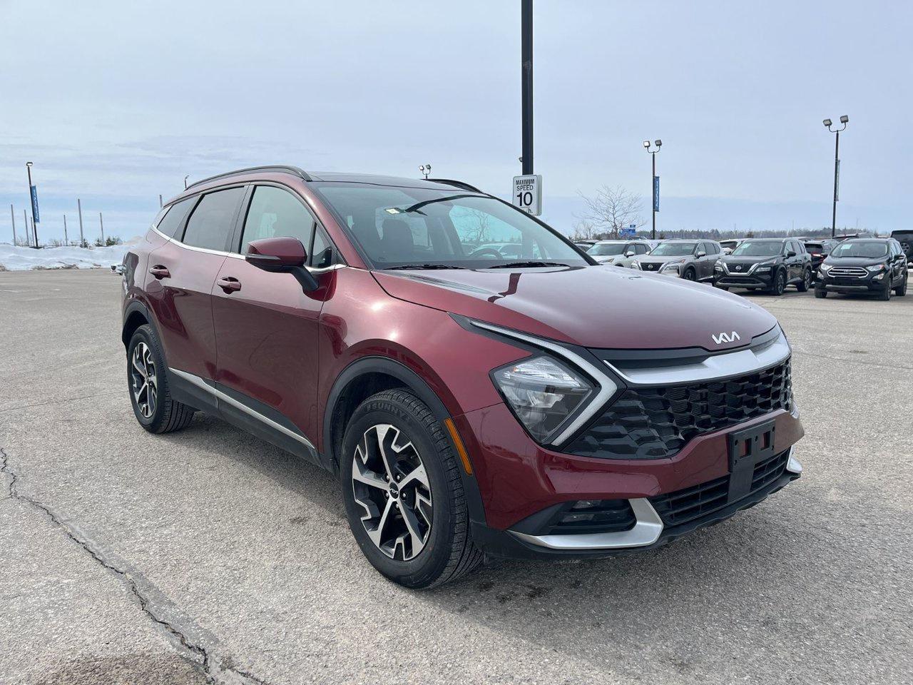 2023 Kia Sportage EX AWD Photo3