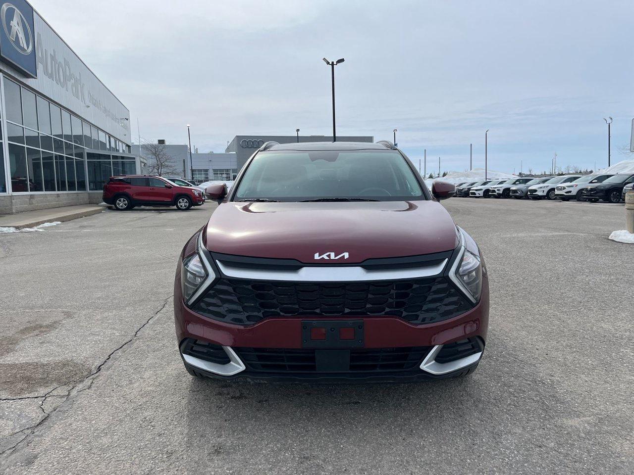 2023 Kia Sportage EX AWD Photo