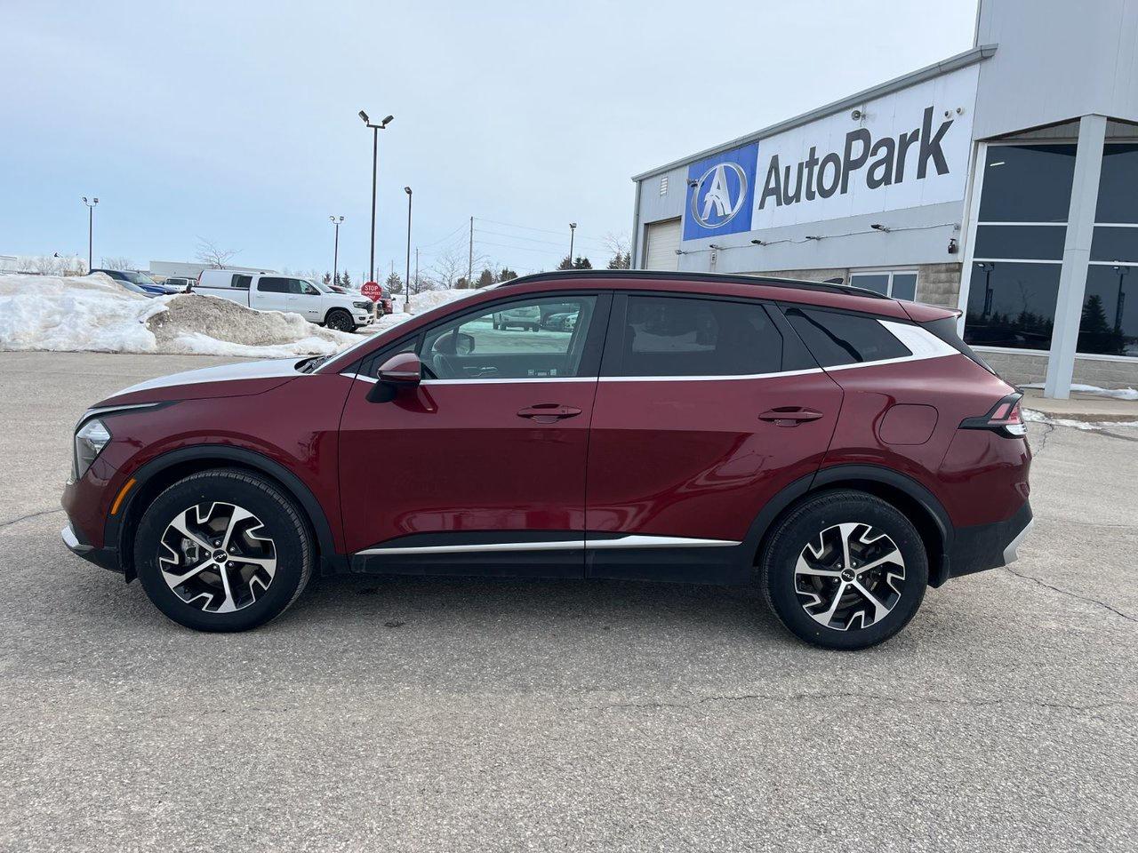 2023 Kia Sportage EX AWD Photo