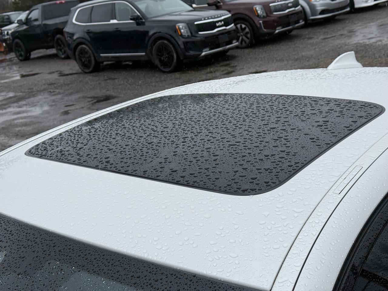 2021 BMW 5 Series 530i xDrive Photo