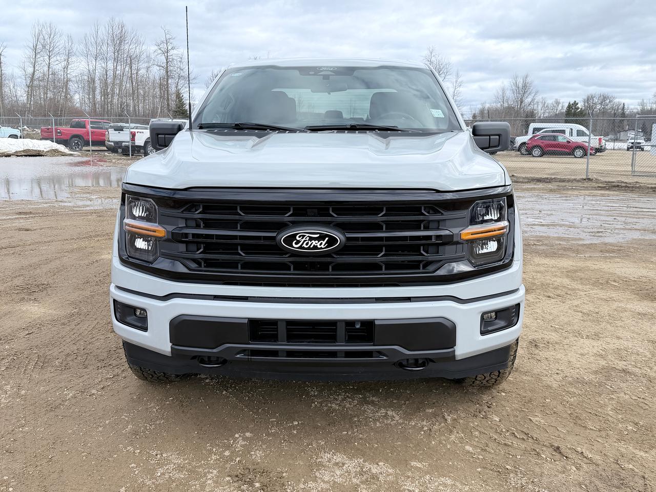 2026 Ford F-150 XLT Photo1