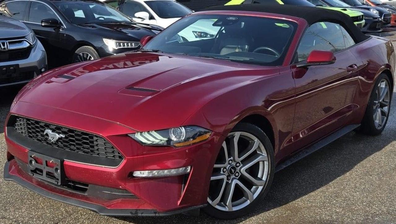 Used 2019 Ford Mustang ECOBOOST PREMIUM / NAV / LEATHER / PWR SEATS for sale in Cambridge, ON