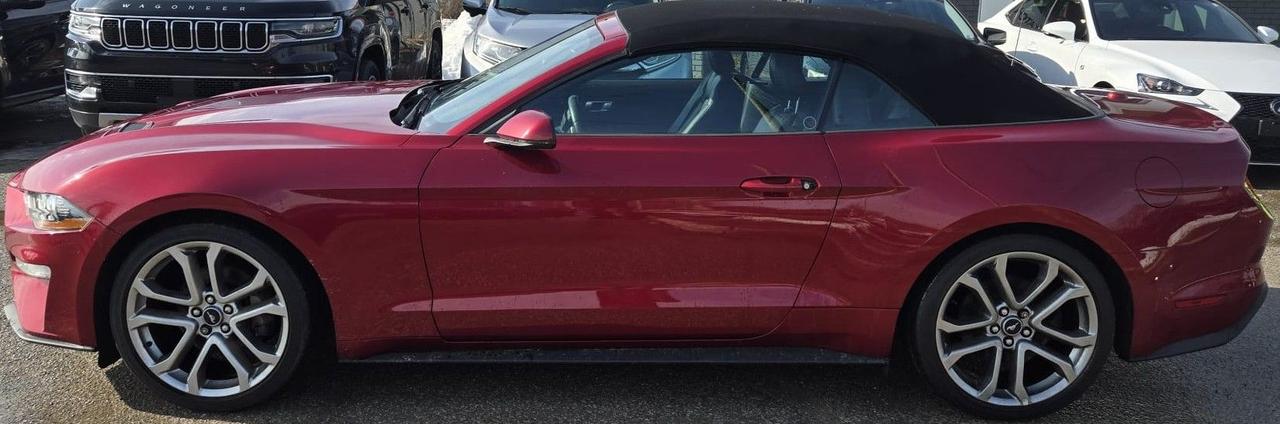 2019 Ford Mustang ECOBOOST PREMIUM / NAV / LEATHER / PWR SEATS Photo