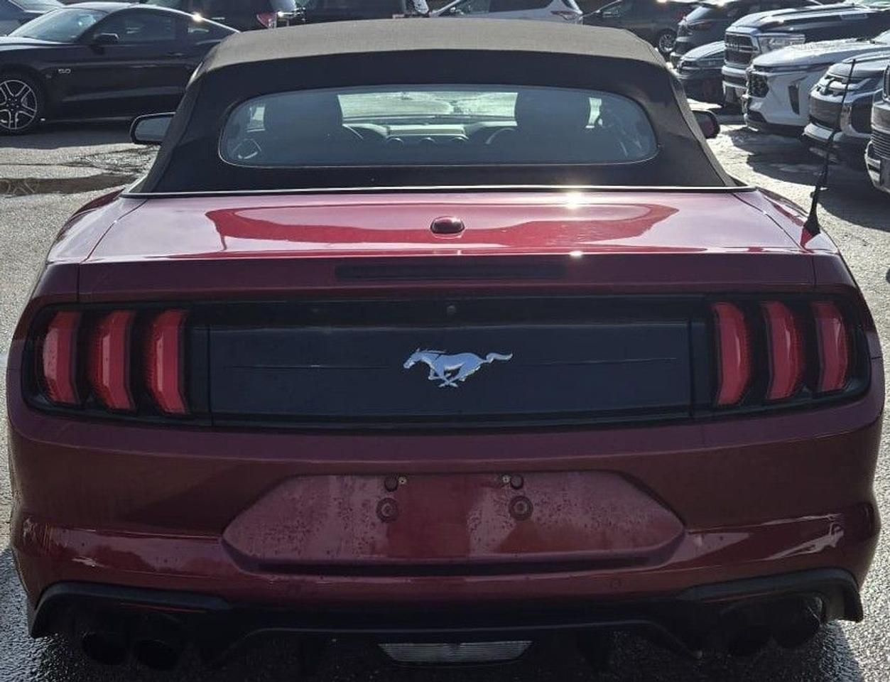 2019 Ford Mustang ECOBOOST PREMIUM / NAV / LEATHER / PWR SEATS Photo