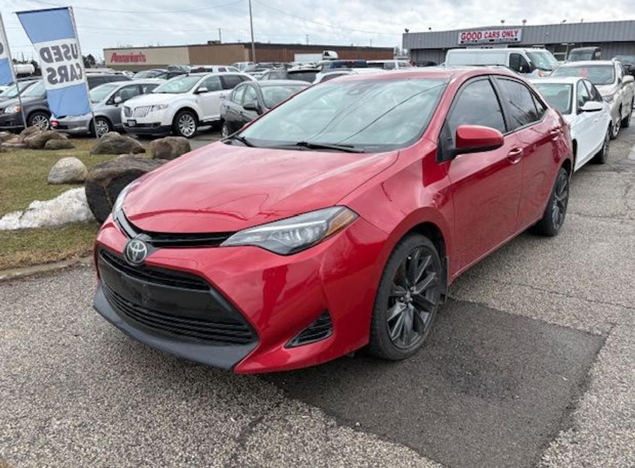 2019 Toyota Corolla LE Photo