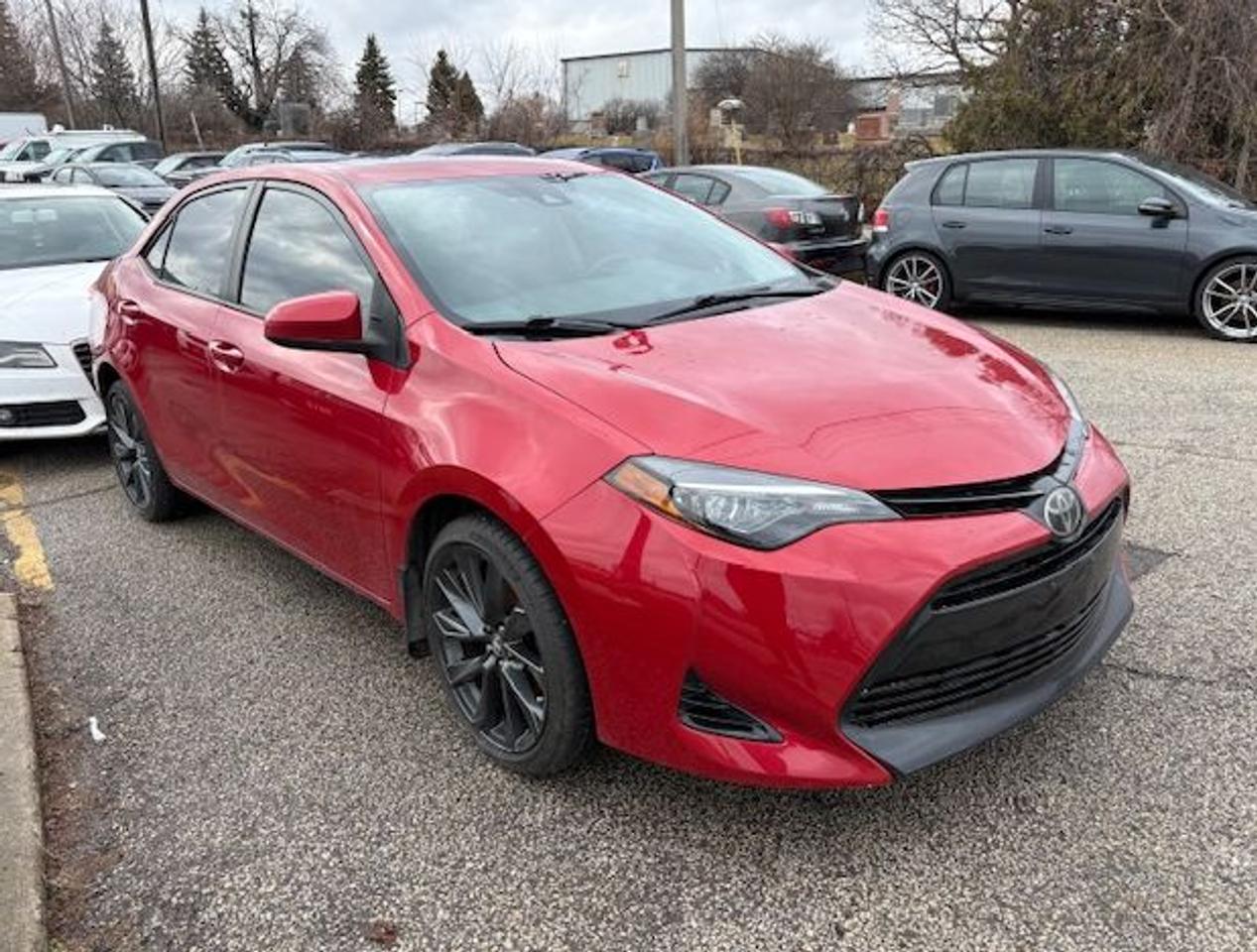2019 Toyota Corolla LE Photo