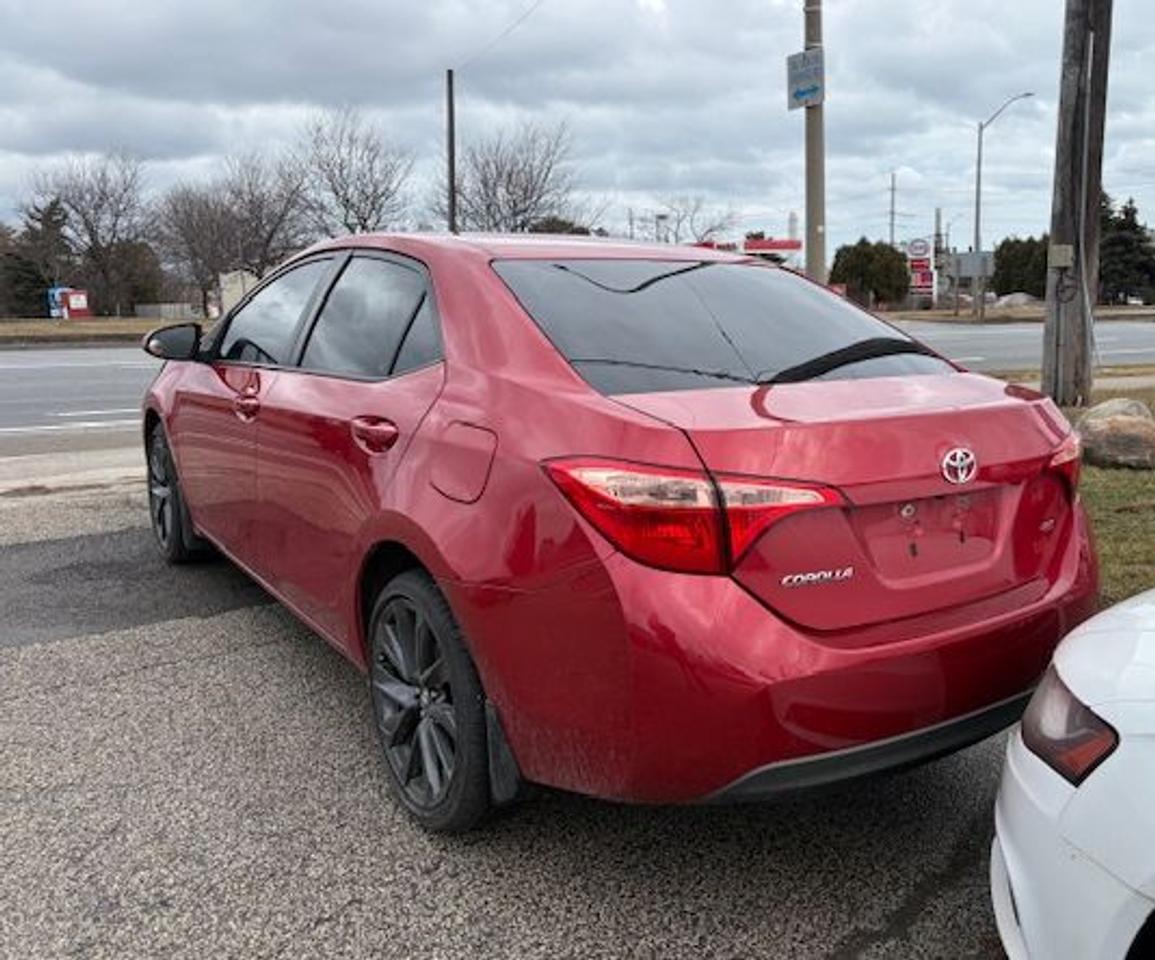 2019 Toyota Corolla LE Photo
